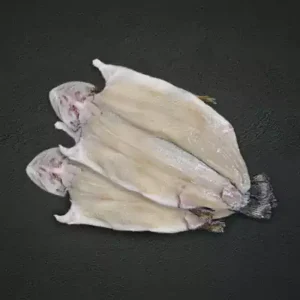 فیله قزل الا با سر و دم